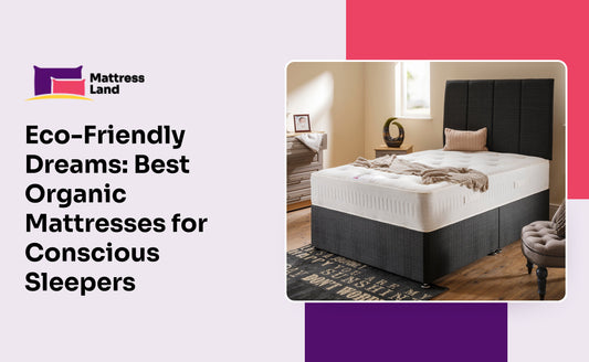 Eco-Friendly Dreams: Best Organic Mattresses for Conscious Sleepers