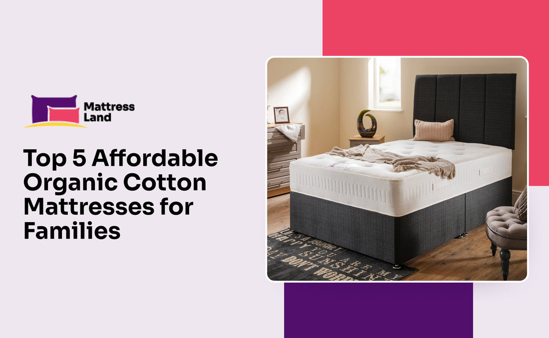 Top 5 Affordable Organic Cotton Mattresses for Families